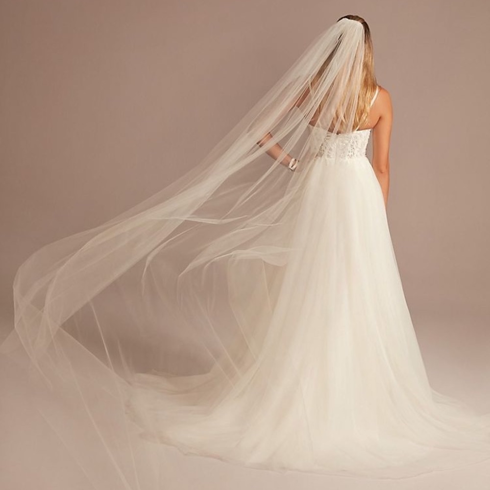 David’s Bridal White Cathedral Length Glitter Tulle Veil